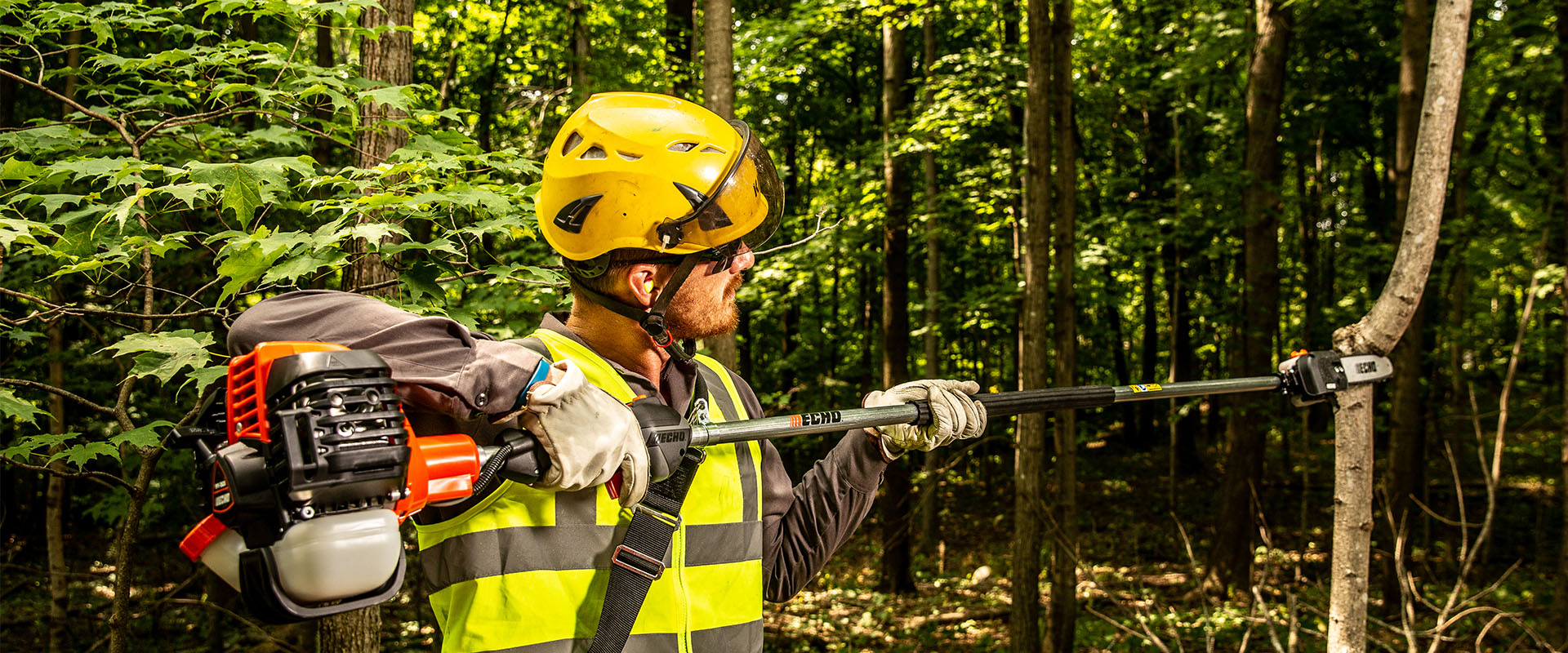 Accessoires pour élagueuse sur perche