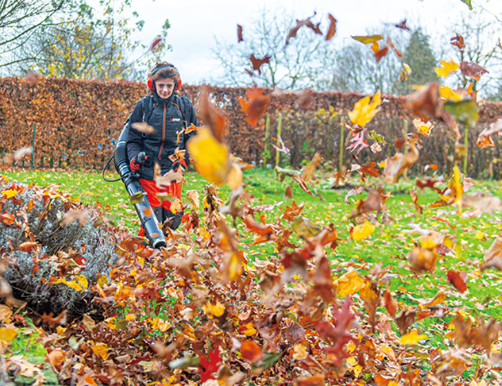 Powerful Blowing Force.