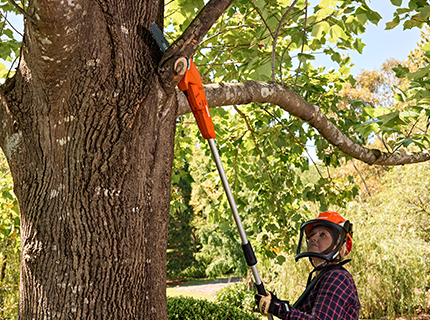 New ECHO DPPF-310 power pruner. New ECHO DPPF-310 power pruner.